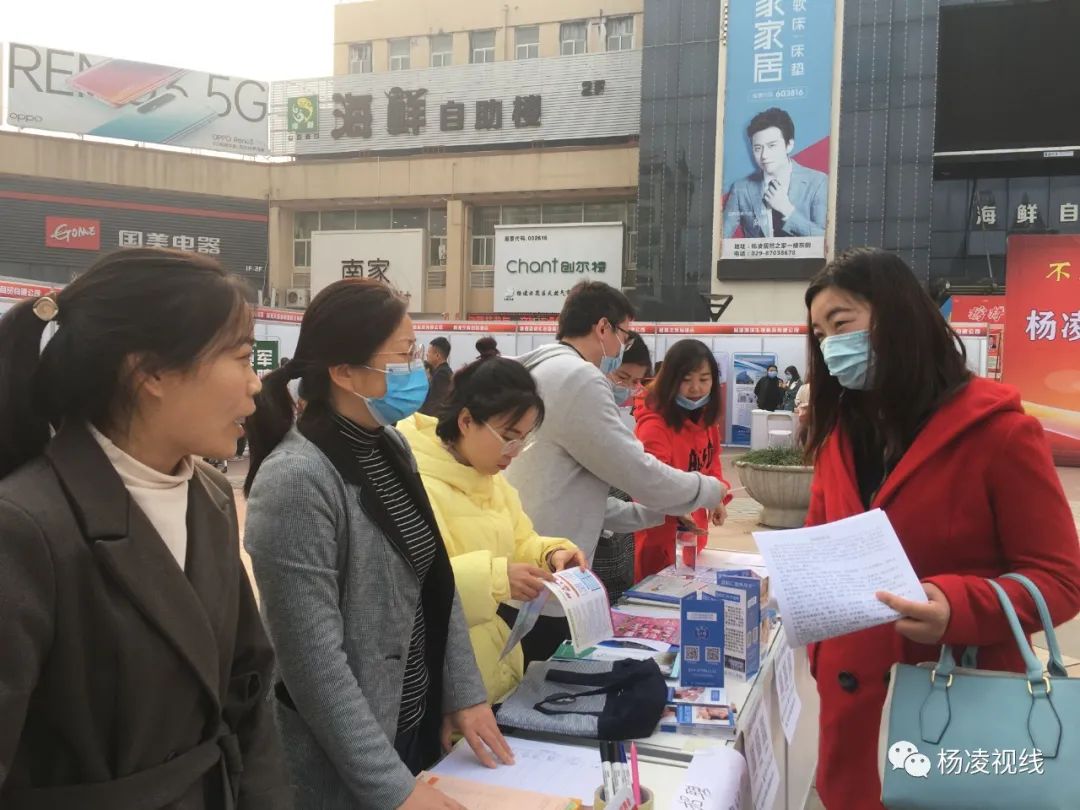 杨凌招聘网最新招聘动态深度解读与解析